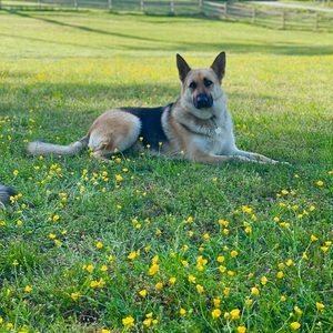 Meet your Posher, Tania